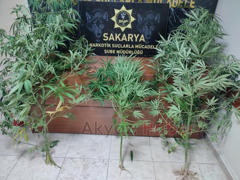 Sakarya'da uyuşturucu operasyonlarında 88 kişi yakalandı