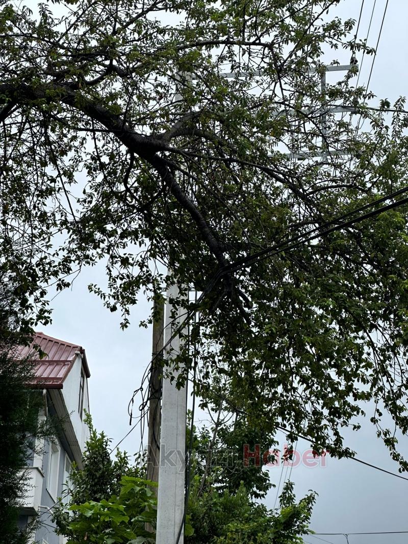 Direk yıkılmak üzere