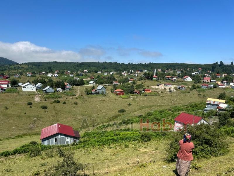 Doğa turizmin gözdesi Sultanpınar Yaylası
