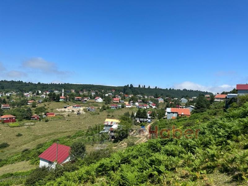 Doğa turizmin gözdesi Sultanpınar Yaylası