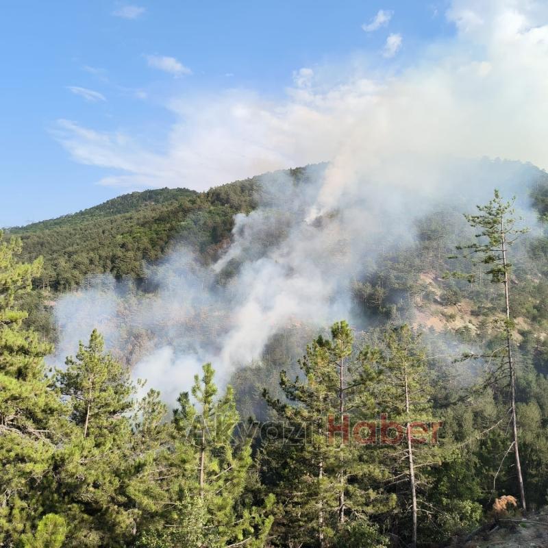 Mudurnu'da orman yangını