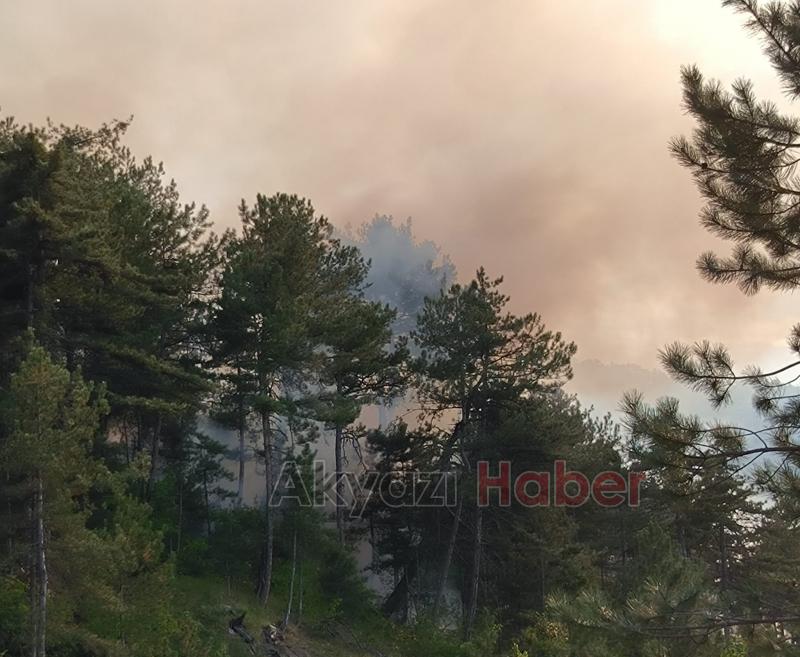 Mudurnu'da orman yangını