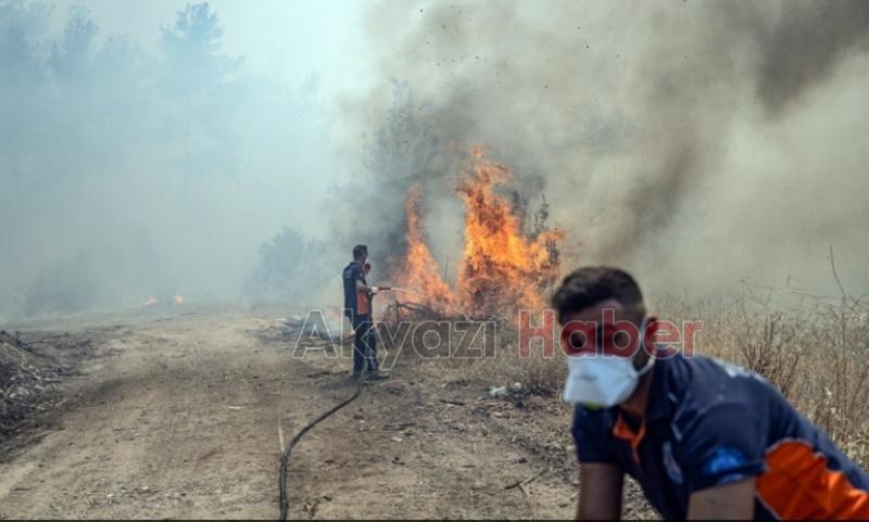 Çanakkale'deki orman yangını kontrol altına alındı