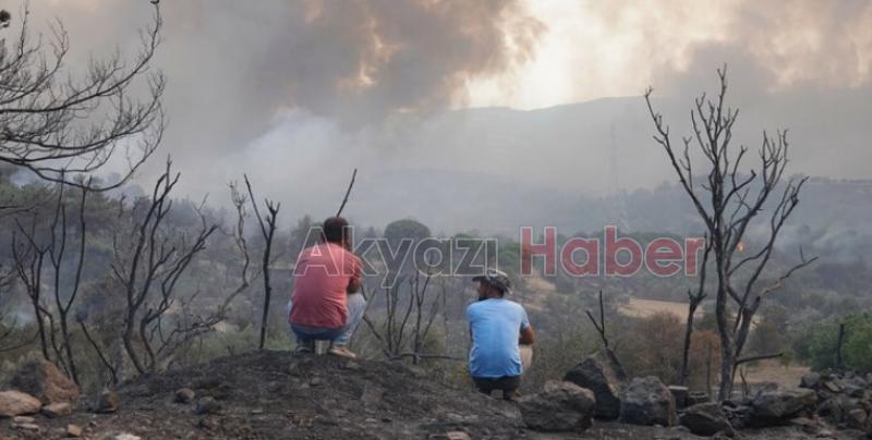 Çanakkale'deki orman yangını kontrol altına alındı