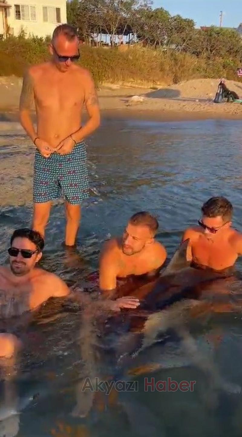 Yaralı yunus için seferber oldular