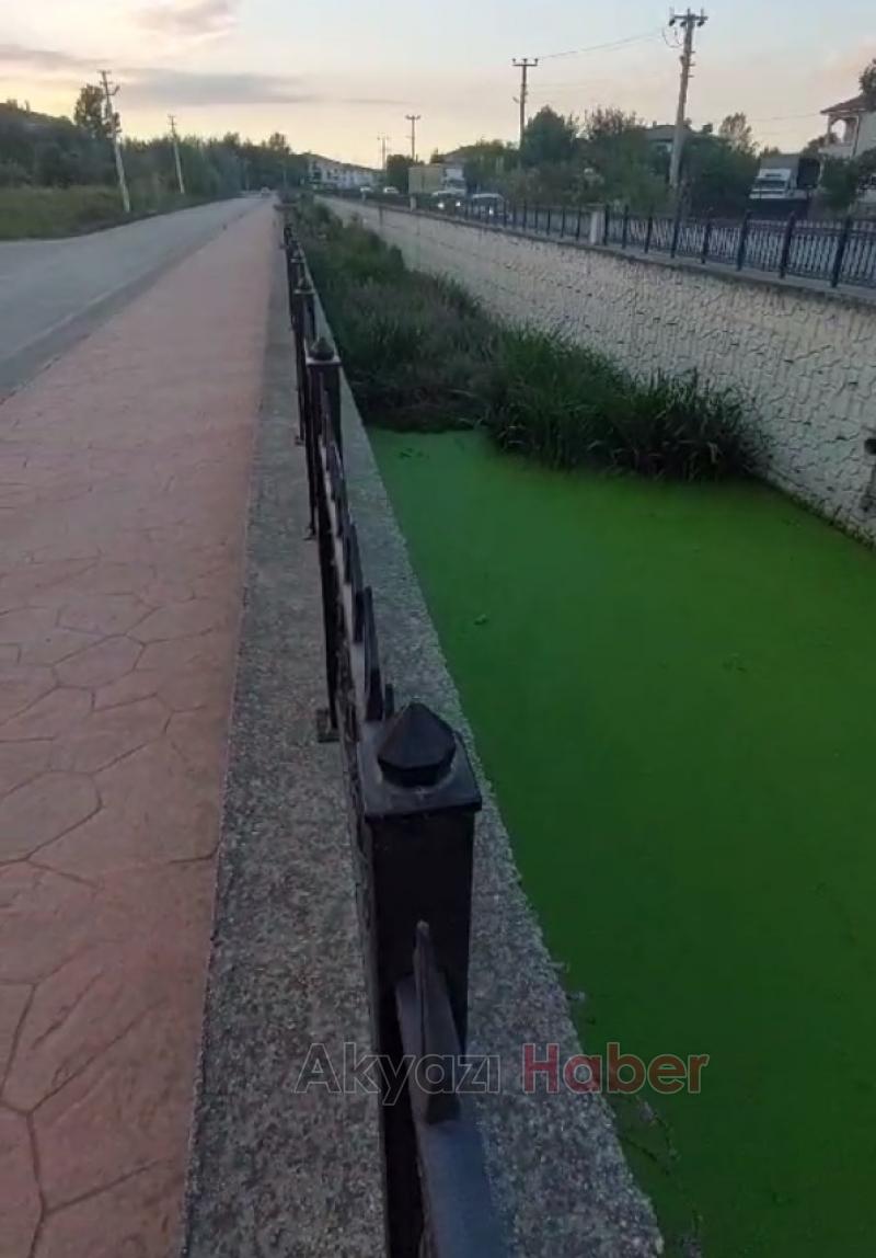 Bu şikayet Karacasu Deresi için