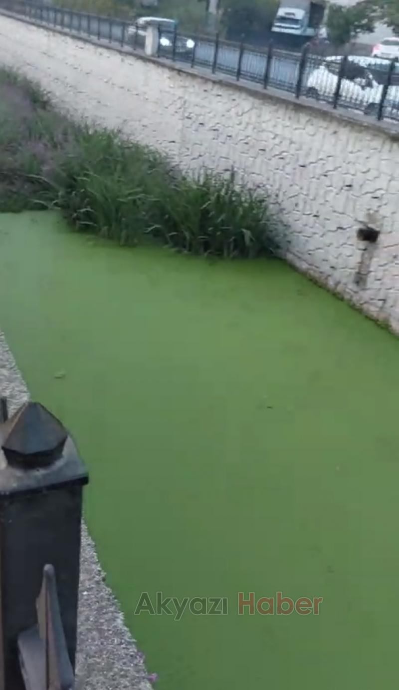 Bu şikayet Karacasu Deresi için