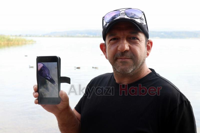 Yunus balığına fısıldayan adam