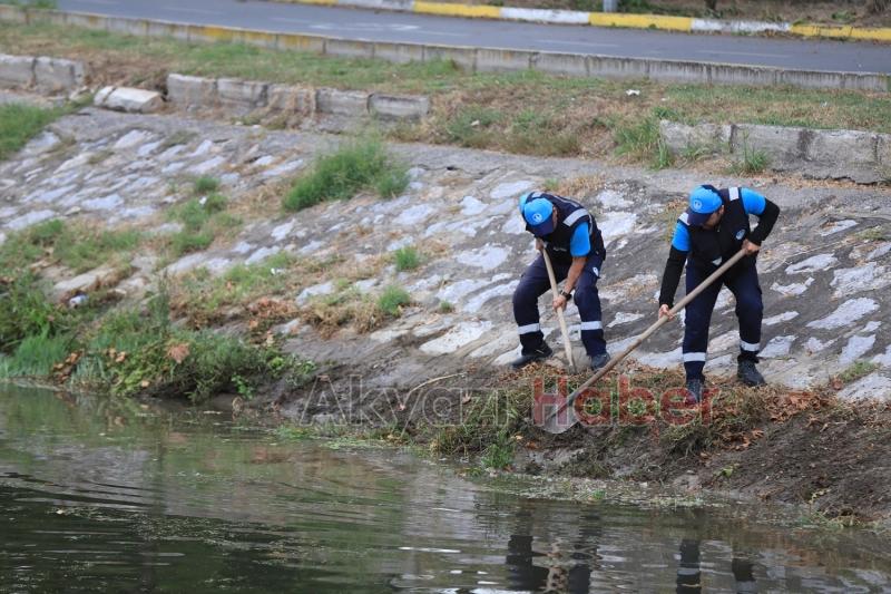 Çark Deresi ve çevresi'nde rutin temizlik