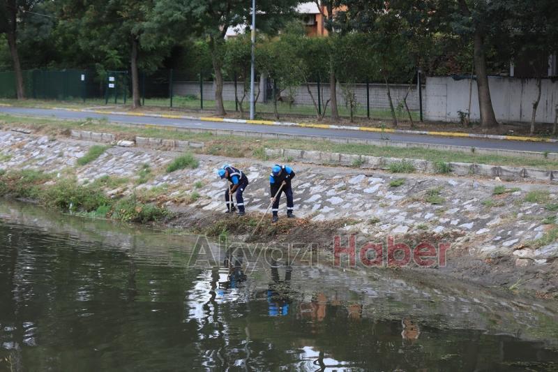 Çark Deresi ve çevresi'nde rutin temizlik