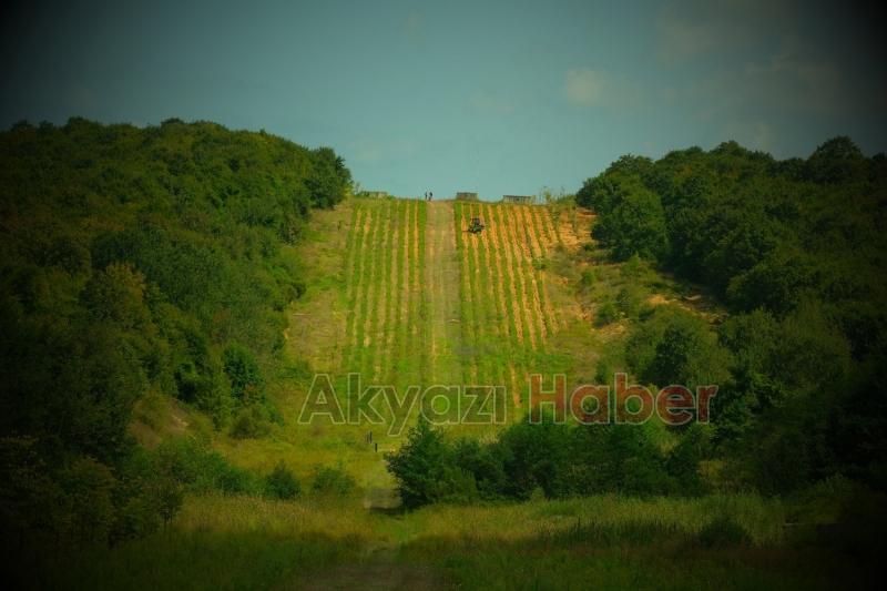 Botanik Vadisi’nde biberiye zamanı