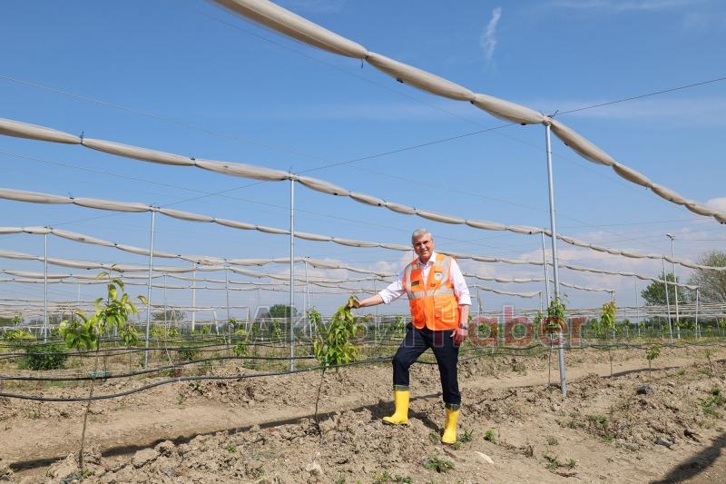 Sakarya Dünya tarım şehri oluyor