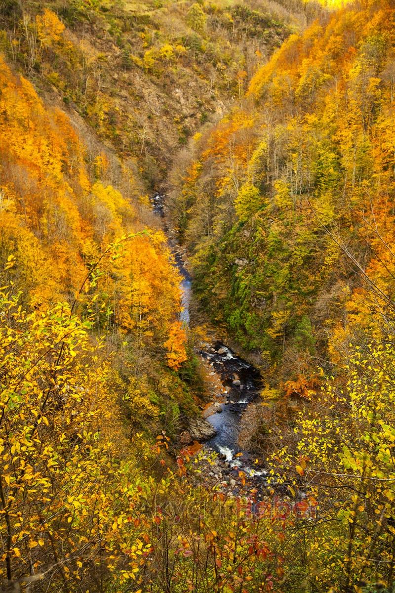 Sonbahar Doğa Yürüyüşleri başlıyor