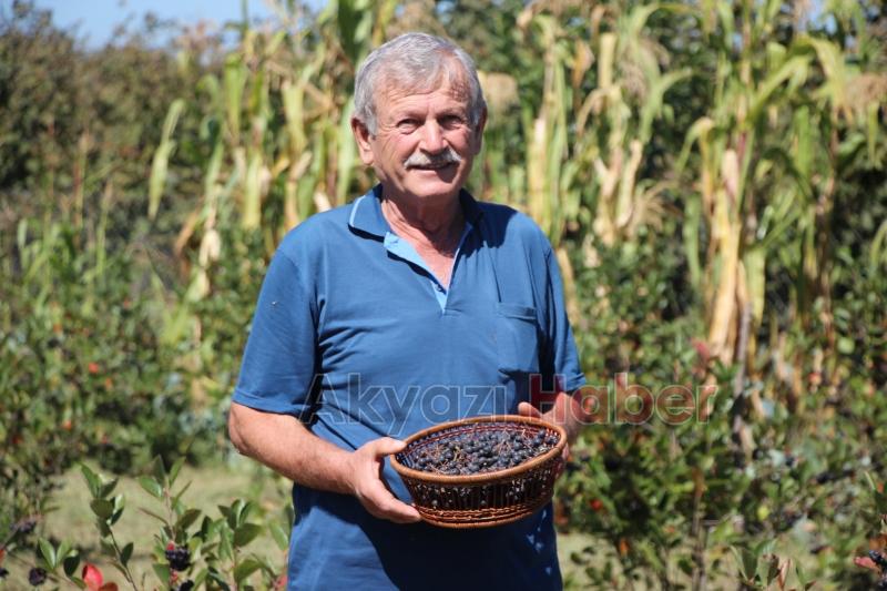 Süper meyve'nin kilosu 400 lira, talebe yetişemiyor