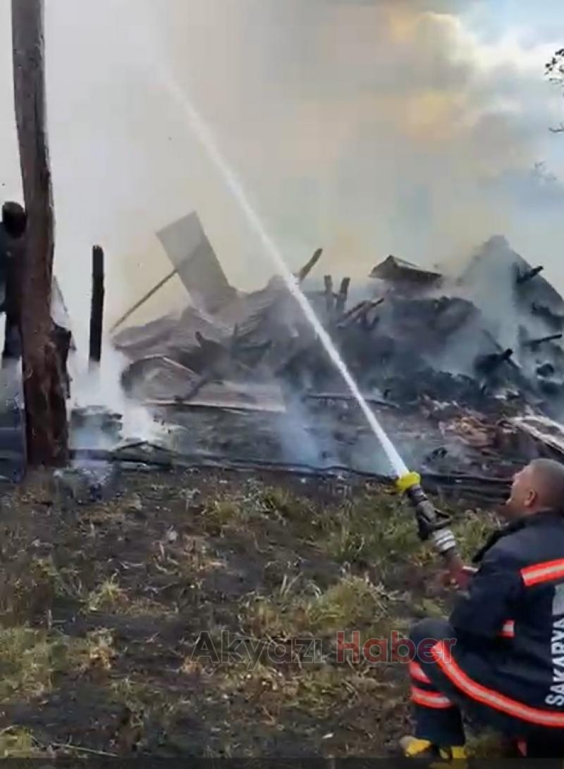 Hendek'te yangın faciası büyükbaş hayvanlar telef oldu
