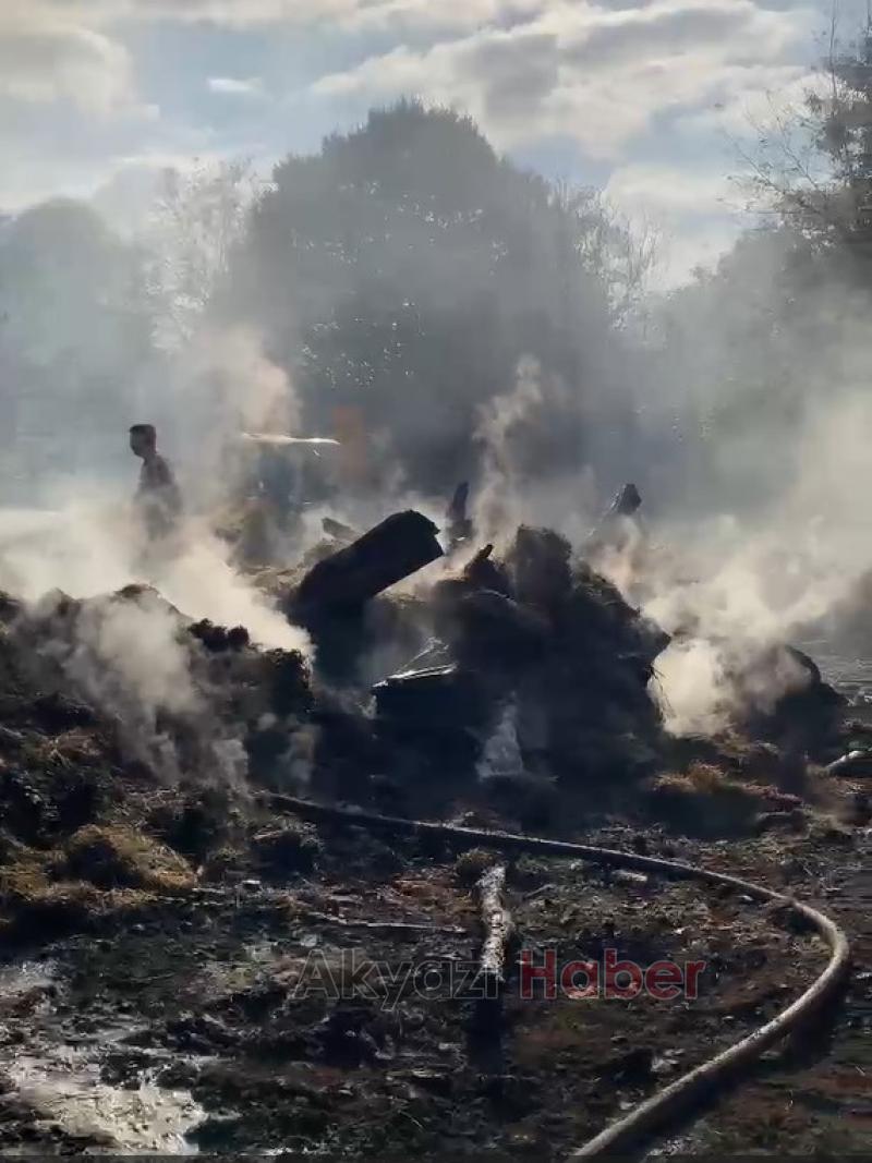 Hendek'te yangın faciası büyükbaş hayvanlar telef oldu