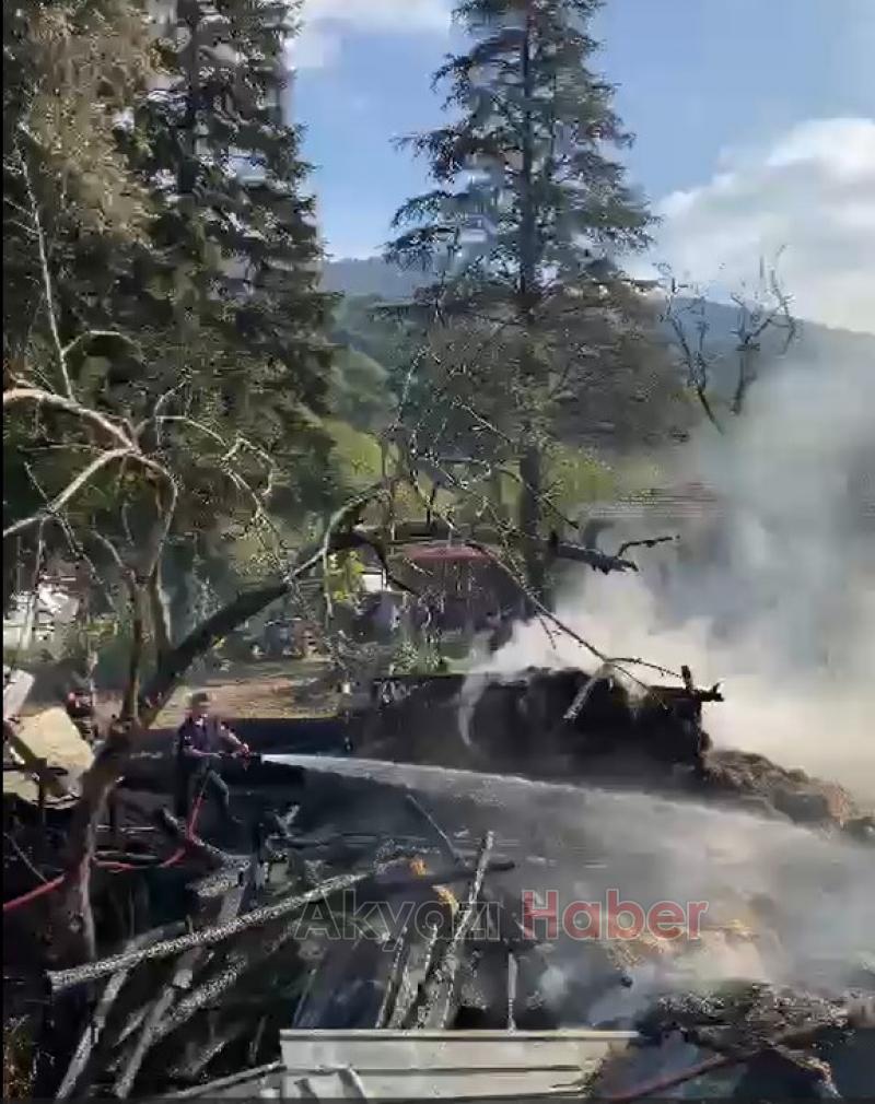 Hendek'te yangın faciası büyükbaş hayvanlar telef oldu