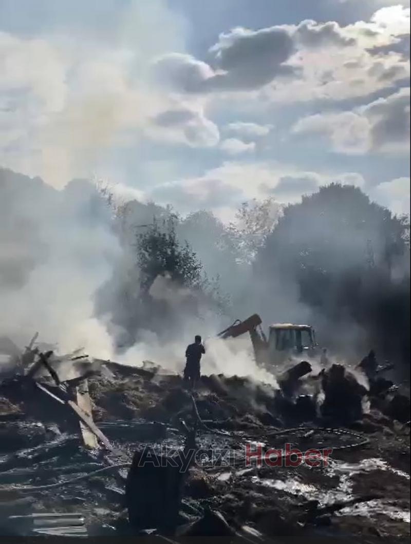 Hendek'te yangın faciası büyükbaş hayvanlar telef oldu