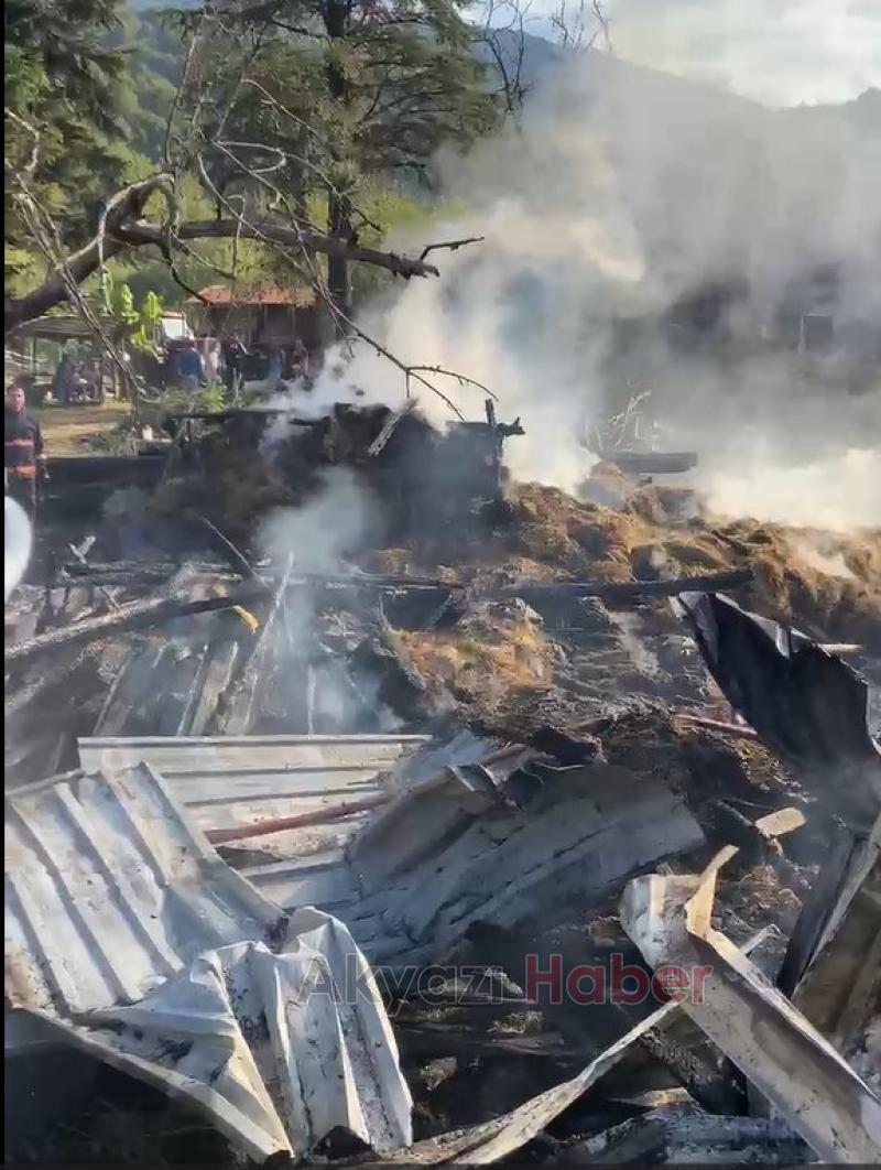 Hendek'te yangın faciası büyükbaş hayvanlar telef oldu