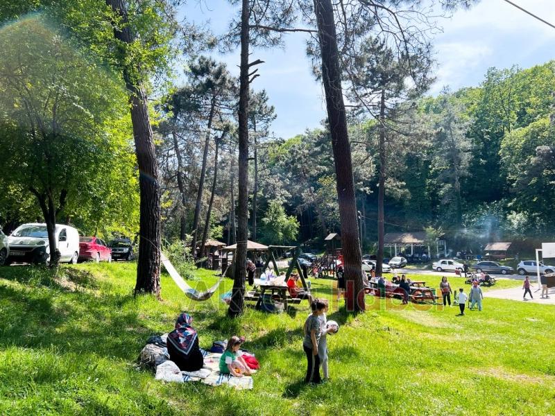 Şehrin oksijen deposuna ziyaretçi akını