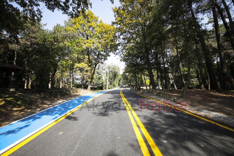 Şehrin oksijen deposuna ziyaretçi akını