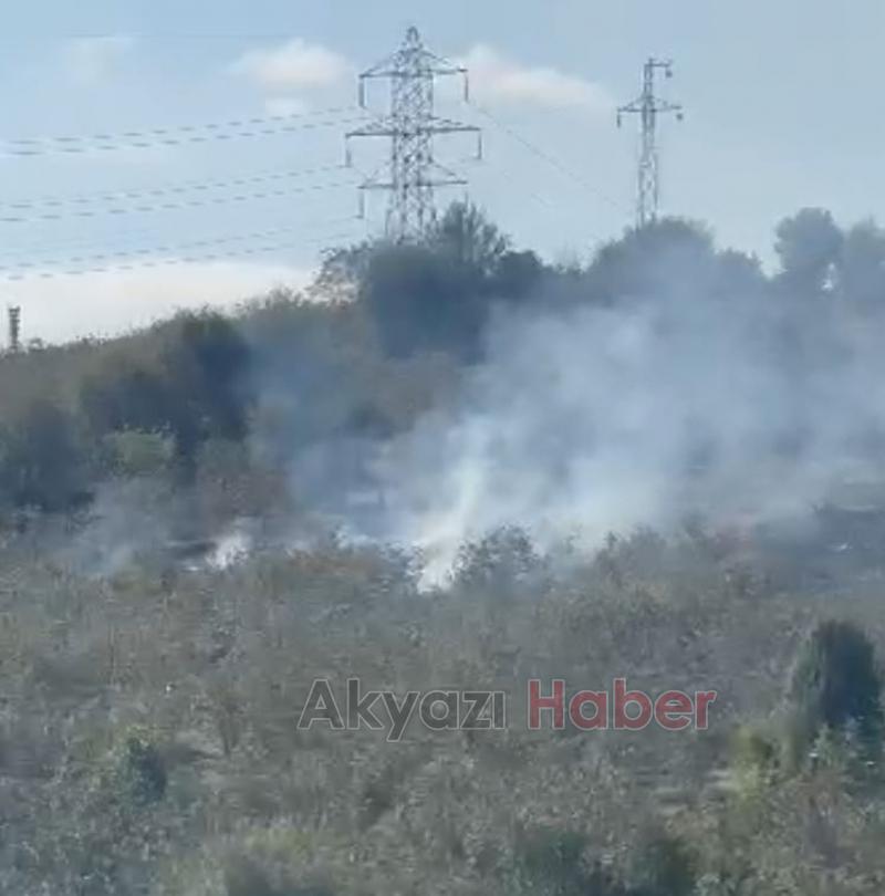Reşadiye'de fındık bahçesinde yangın 