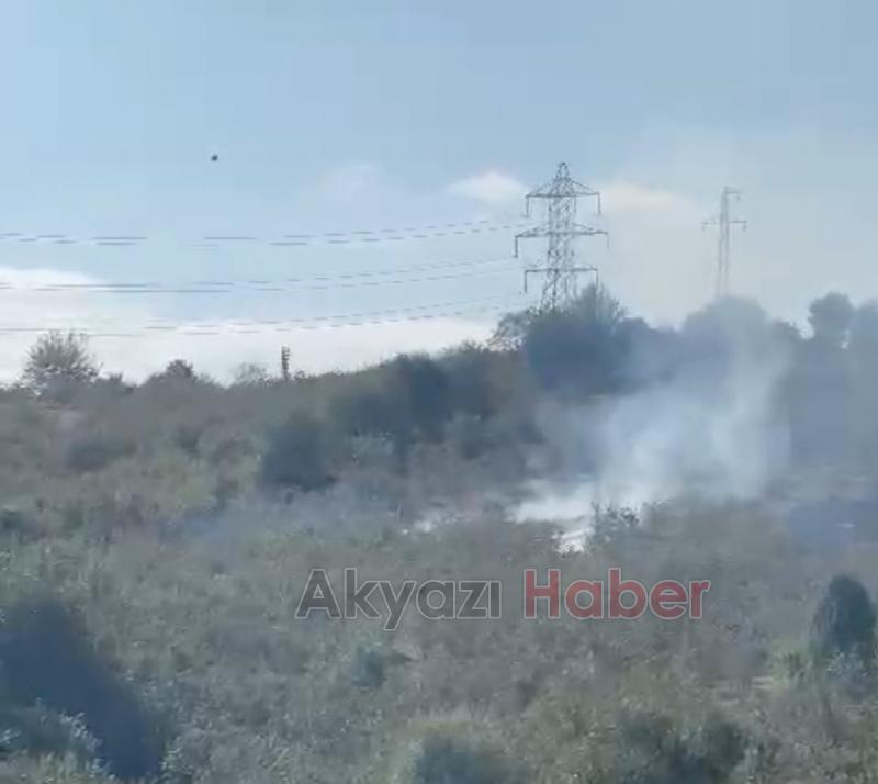 Reşadiye'de fındık bahçesinde yangın 