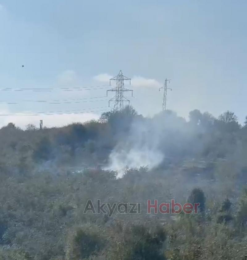 Reşadiye'de fındık bahçesinde yangın 