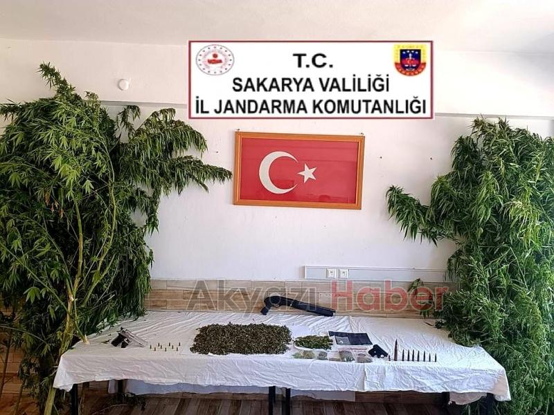 Karasu'da uyuşturucu operasyonu