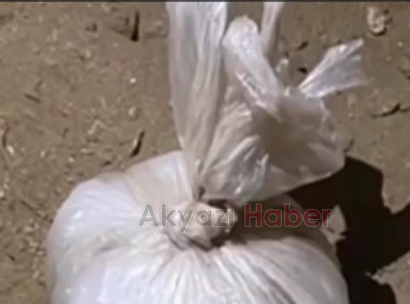 Bakan duyurdu: 72 gözaltı