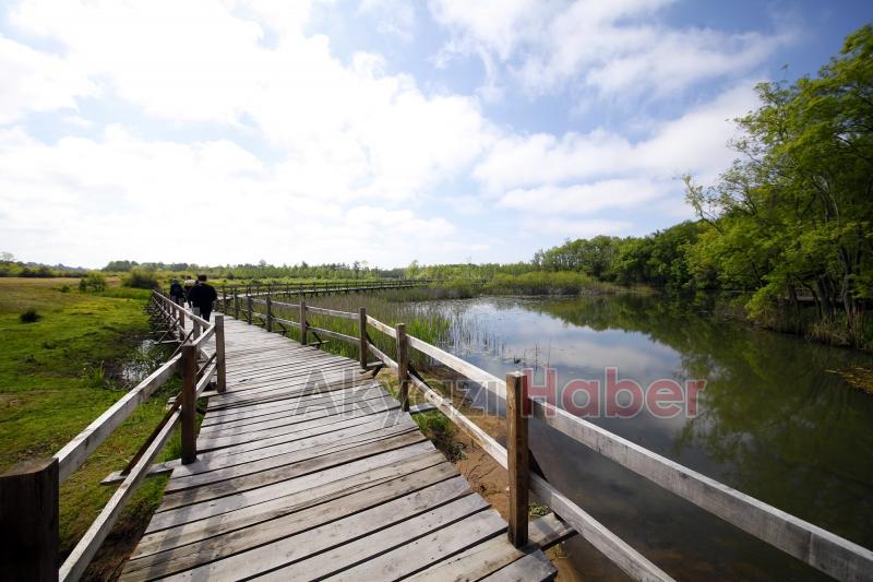 Acarlar Longozu'nu bu yaz 85 bin kişi ziyaret etti