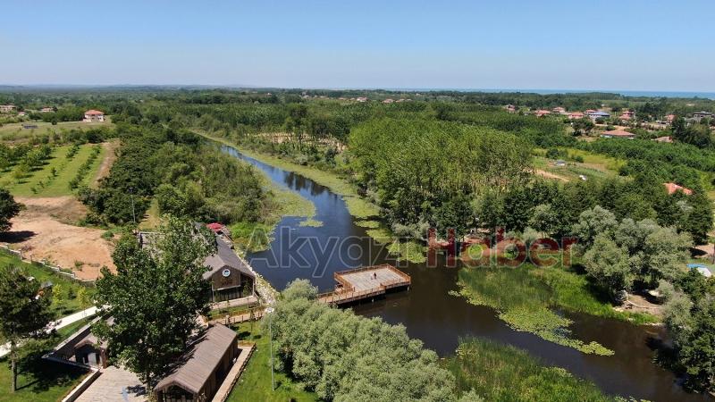 Acarlar Longozu'nu bu yaz 85 bin kişi ziyaret etti