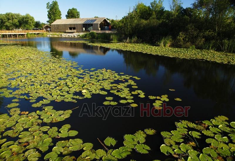 Acarlar Longozu'nu bu yaz 85 bin kişi ziyaret etti