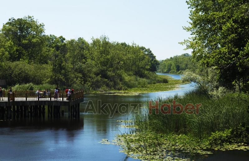 Acarlar Longozu'nu bu yaz 85 bin kişi ziyaret etti
