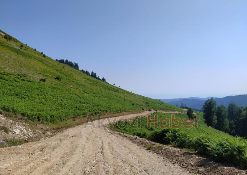 Akyazı ve Hendek Yaylaları'na 10 RES kuruluyor, süreç başladı