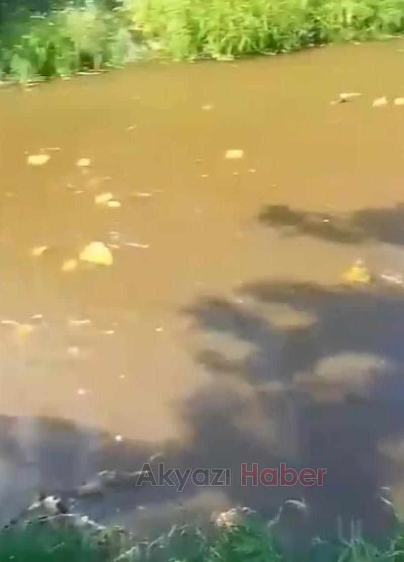 Alaağaç'ta dereye kanalizasyon aktı