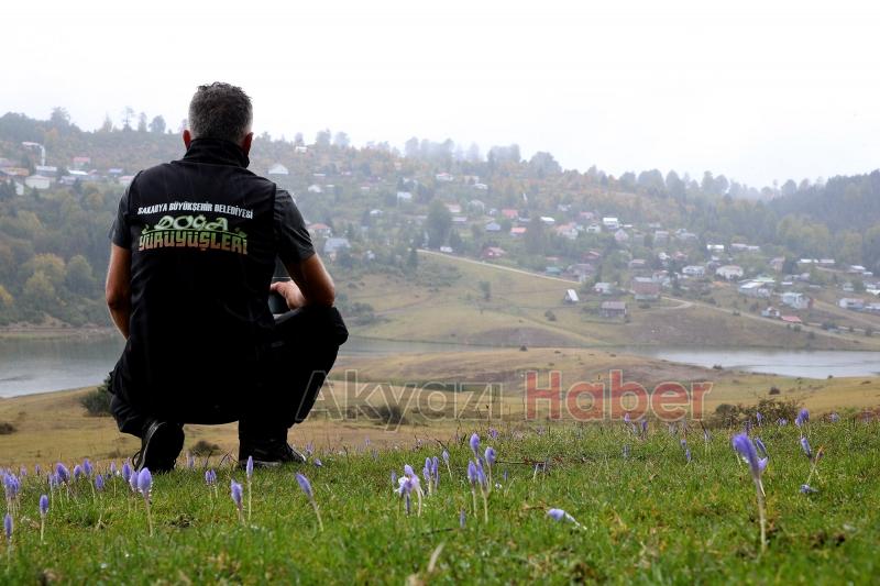 Sultanpınar Yaylası'nda doğa yürüyüşü yaptılar