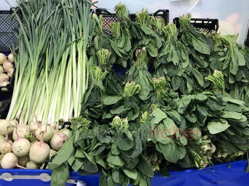 Efecan Tanzim Satış Dev Açılış'a hazırlanıyor