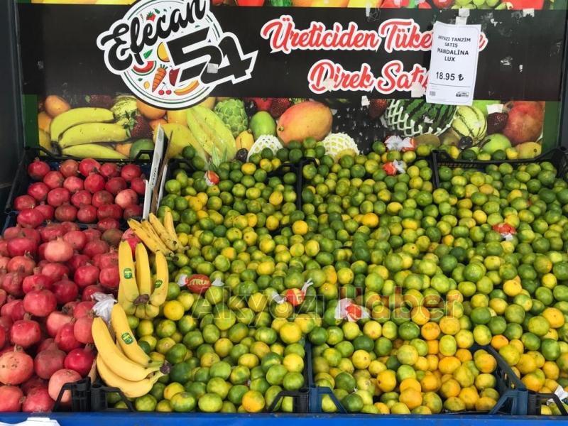 Efecan Tanzim Satış Dev Açılış'a hazırlanıyor