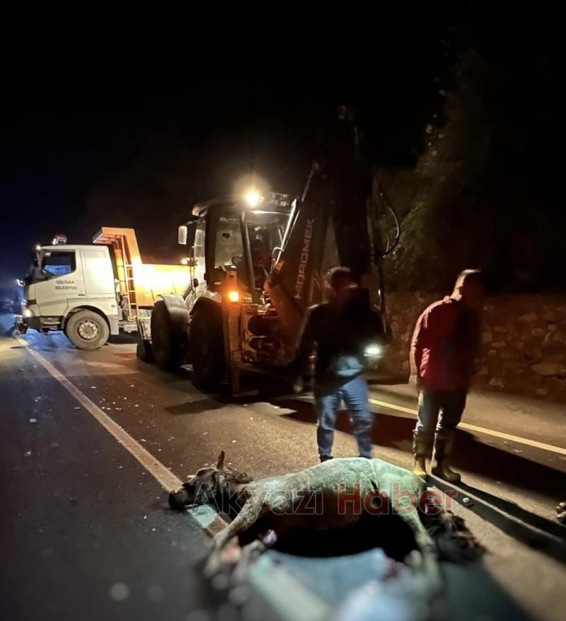 Otomobil at sürüsüne daldı