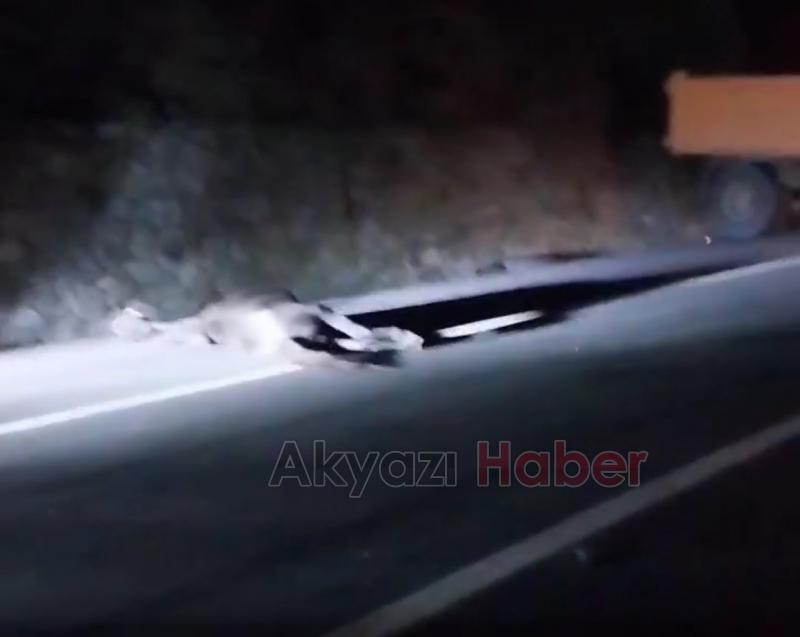 Otomobil at sürüsüne daldı