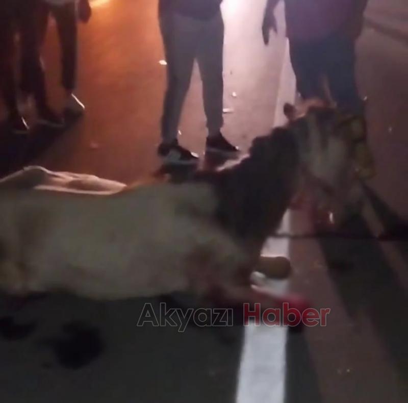 Otomobil at sürüsüne daldı