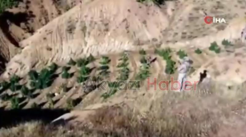 21 ilde operasyon: 148 zehir taciri yakalandı