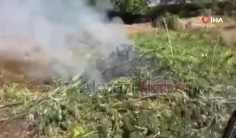 21 ilde operasyon: 148 zehir taciri yakalandı