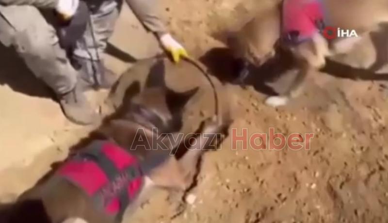 21 ilde operasyon: 148 zehir taciri yakalandı