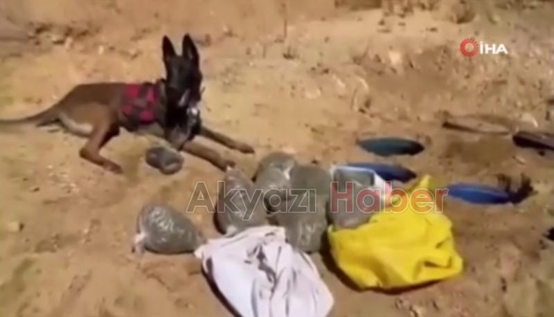 21 ilde operasyon: 148 zehir taciri yakalandı