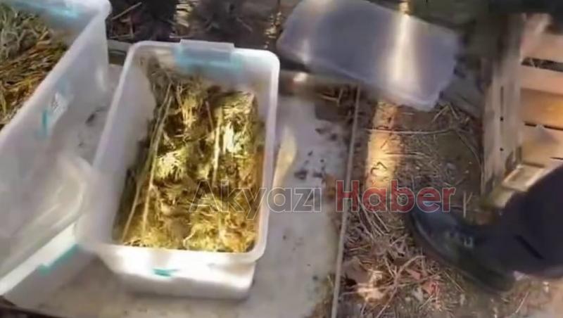 Uyuşturucu, tabanca, para ve altın ele geçirildi