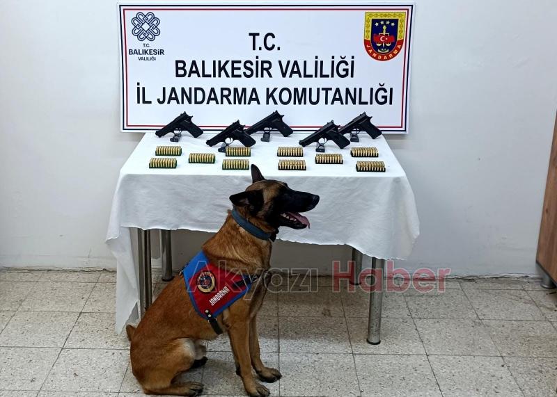 Bomba köpeği 'Vaha' kaçak silahları buldu