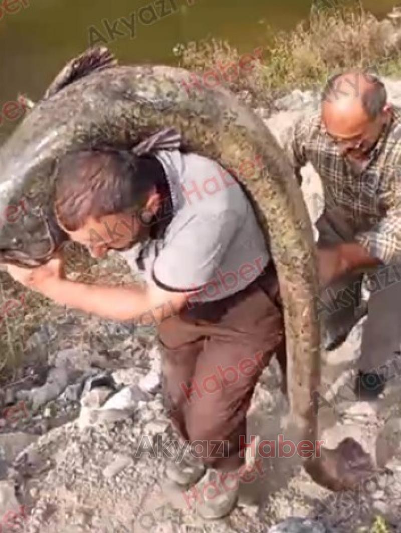 2 metreden büyük dev yayını böyle yakalamış