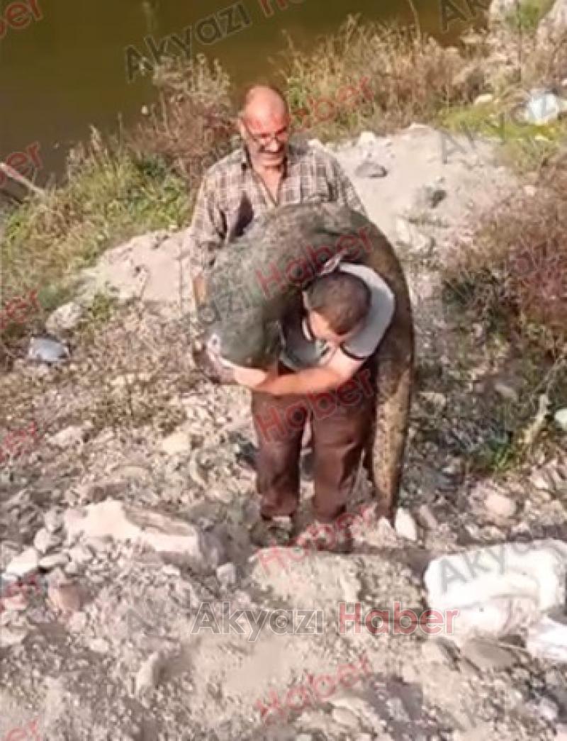 2 metreden büyük dev yayını böyle yakalamış